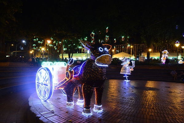 Alumbrado navideño parque El Poblado
Alumbrado navideño parque El Poblado
Fecha: Diciembre 19 de 2017
Para descargar esta fotografía en alta resolución, haga clic sobre la imagen hasta que la misma se despliegue en la pantalla completa; luego dé clic derecho y elija la opción "guardar imagen como". 
En caso de publicación por cualquier medio, solicitamos acompañarla del crédito: "Foto EPM"
Palabras clave: Alumbrado navideño parque El Poblado