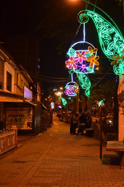Alumbrados 2015 internas
Alumbrados 2015 internas
Fecha: Diciembre de 2015
Para descargar esta fotografía en alta resolución, haga clic sobre la imagen hasta que la misma se despliegue en la pantalla completa; luego dé clic derecho y elija la opción "guardar imagen como". 
En caso de publicación por cualquier medio, solicitamos acompañarla del crédito: "Foto EPM"

Palabras clave: Alumbrados 2015 internas