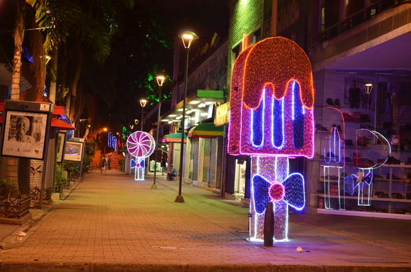 Alumbrados 2015 internas
Alumbrados 2015 internas
Fecha: Diciembre de 2015
Para descargar esta fotografía en alta resolución, haga clic sobre la imagen hasta que la misma se despliegue en la pantalla completa; luego dé clic derecho y elija la opción "guardar imagen como". 
En caso de publicación por cualquier medio, solicitamos acompañarla del crédito: "Foto EPM"

Palabras clave: Alumbrados 2015 internas