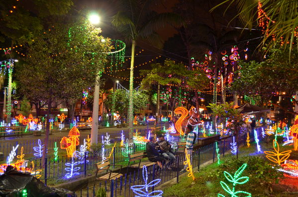 Alumbrados 2015 internas
Alumbrados 2015 internas
Fecha: Diciembre de 2015
Para descargar esta fotografía en alta resolución, haga clic sobre la imagen hasta que la misma se despliegue en la pantalla completa; luego dé clic derecho y elija la opción "guardar imagen como". 
En caso de publicación por cualquier medio, solicitamos acompañarla del crédito: "Foto EPM"

Palabras clave: Alumbrados 2015 internas