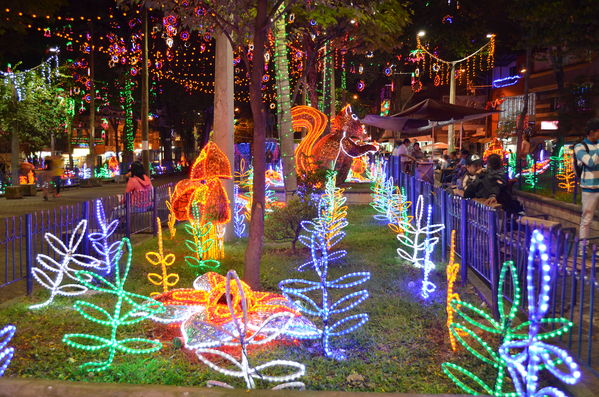 Alumbrados 2015 internas
Alumbrados 2015 internas
Fecha: Diciembre de 2015
Para descargar esta fotografía en alta resolución, haga clic sobre la imagen hasta que la misma se despliegue en la pantalla completa; luego dé clic derecho y elija la opción "guardar imagen como". 
En caso de publicación por cualquier medio, solicitamos acompañarla del crédito: "Foto EPM"

Palabras clave: Alumbrados 2015 internas