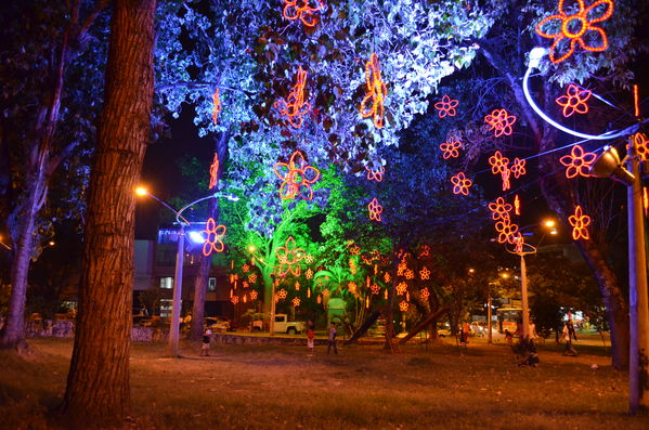 Alumbrados 2015 internas
Alumbrados 2015 internas
Fecha: Diciembre de 2015
Para descargar esta fotografía en alta resolución, haga clic sobre la imagen hasta que la misma se despliegue en la pantalla completa; luego dé clic derecho y elija la opción "guardar imagen como". 
En caso de publicación por cualquier medio, solicitamos acompañarla del crédito: "Foto EPM"

Palabras clave: Alumbrados 2015 internas