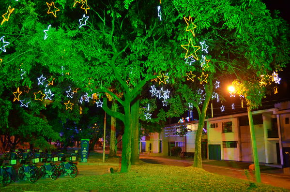 Alumbrados 2015 internas
Alumbrados 2015 internas
Fecha: Diciembre de 2015
Para descargar esta fotografía en alta resolución, haga clic sobre la imagen hasta que la misma se despliegue en la pantalla completa; luego dé clic derecho y elija la opción "guardar imagen como". 
En caso de publicación por cualquier medio, solicitamos acompañarla del crédito: "Foto EPM"

Palabras clave: Alumbrados 2015 internas