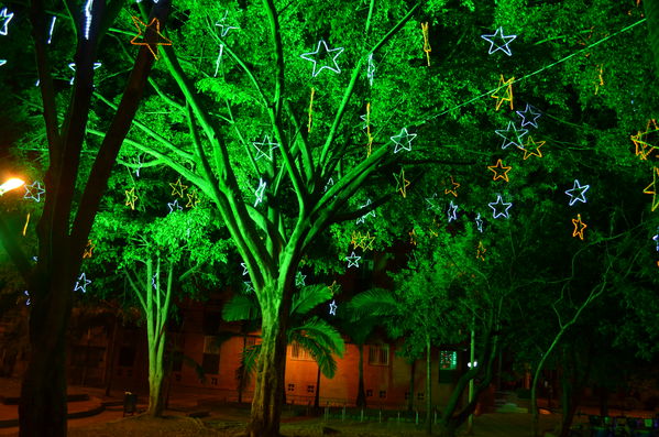 Alumbrados 2015 internas
Alumbrados 2015 internas
Fecha: Diciembre de 2015
Para descargar esta fotografía en alta resolución, haga clic sobre la imagen hasta que la misma se despliegue en la pantalla completa; luego dé clic derecho y elija la opción "guardar imagen como". 
En caso de publicación por cualquier medio, solicitamos acompañarla del crédito: "Foto EPM"

Palabras clave: Alumbrados 2015 internas