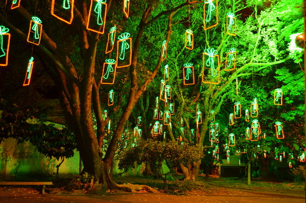 Alumbrados 2015 internas
Alumbrados 2015 internas
Fecha: Diciembre de 2015
Para descargar esta fotografía en alta resolución, haga clic sobre la imagen hasta que la misma se despliegue en la pantalla completa; luego dé clic derecho y elija la opción "guardar imagen como". 
En caso de publicación por cualquier medio, solicitamos acompañarla del crédito: "Foto EPM"

Palabras clave: Alumbrados 2015 internas