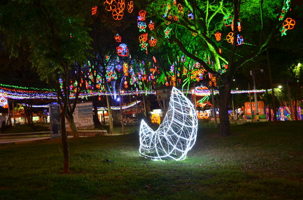 Alumbrados 2015 internas
Alumbrados 2015 internas
Fecha: Diciembre de 2015
Para descargar esta fotografía en alta resolución, haga clic sobre la imagen hasta que la misma se despliegue en la pantalla completa; luego dé clic derecho y elija la opción "guardar imagen como". 
En caso de publicación por cualquier medio, solicitamos acompañarla del crédito: "Foto EPM"

Palabras clave: Alumbrados 2015 internas