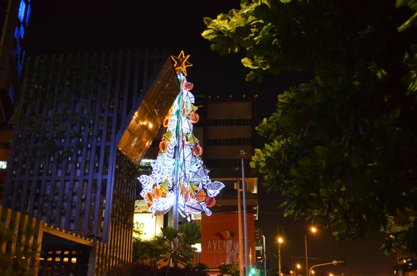 Alumbrados 2015 internas
Alumbrados 2015 internas
Fecha: Diciembre de 2015
Para descargar esta fotografía en alta resolución, haga clic sobre la imagen hasta que la misma se despliegue en la pantalla completa; luego dé clic derecho y elija la opción "guardar imagen como". 
En caso de publicación por cualquier medio, solicitamos acompañarla del crédito: "Foto EPM"

Palabras clave: Alumbrados 2015 internas