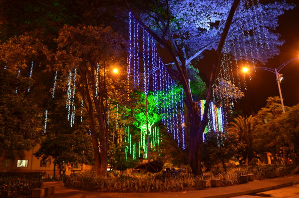 Alumbrados 2015 internas
Alumbrados 2015 internas
Fecha: Diciembre de 2015
Para descargar esta fotografía en alta resolución, haga clic sobre la imagen hasta que la misma se despliegue en la pantalla completa; luego dé clic derecho y elija la opción "guardar imagen como". 
En caso de publicación por cualquier medio, solicitamos acompañarla del crédito: "Foto EPM"

Palabras clave: Alumbrados 2015 internas
