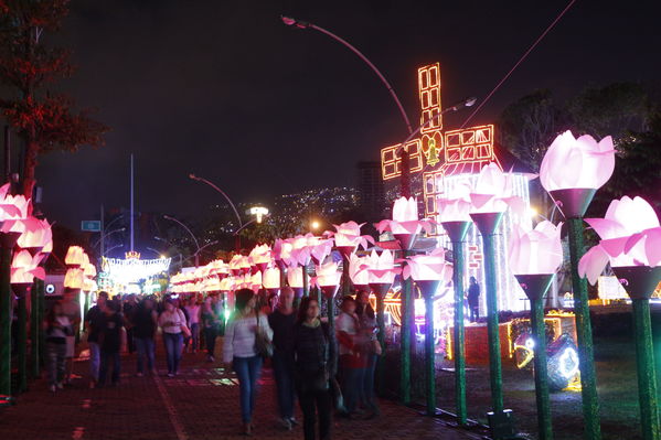 Alumbrado Navideño 2016
Alumbrado Navideño 2016
Fecha: Diciembre 7 de 2016
Para descargar esta fotografía en alta resolución, haga clic sobre la imagen hasta que la misma se despliegue en la pantalla completa; luego dé clic derecho y elija la opción "guardar imagen como". 
En caso de publicación por cualquier medio, solicitamos acompañarla del crédito: "Foto EPM"
Palabras clave: Alumbrado Navideño 2016