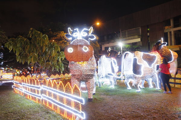 Alumbrado Navideño 2016
Alumbrado Navideño 2016
Fecha: Diciembre 7 de 2016
Para descargar esta fotografía en alta resolución, haga clic sobre la imagen hasta que la misma se despliegue en la pantalla completa; luego dé clic derecho y elija la opción "guardar imagen como". 
En caso de publicación por cualquier medio, solicitamos acompañarla del crédito: "Foto EPM"
Palabras clave: Alumbrado Navideño 2016