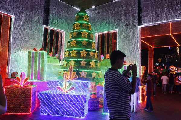 Alumbrado Navideño 2016
Alumbrado Navideño 2016
Fecha: Diciembre 7 de 2016
Para descargar esta fotografía en alta resolución, haga clic sobre la imagen hasta que la misma se despliegue en la pantalla completa; luego dé clic derecho y elija la opción "guardar imagen como". 
En caso de publicación por cualquier medio, solicitamos acompañarla del crédito: "Foto EPM"
Palabras clave: Alumbrado Navideño 2016