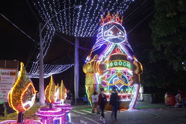 Alumbrado Navideño 2016
Alumbrado Navideño 2016
Fecha: Diciembre 7 de 2016
Para descargar esta fotografía en alta resolución, haga clic sobre la imagen hasta que la misma se despliegue en la pantalla completa; luego dé clic derecho y elija la opción "guardar imagen como". 
En caso de publicación por cualquier medio, solicitamos acompañarla del crédito: "Foto EPM"
Palabras clave: Alumbrado Navideño 2016