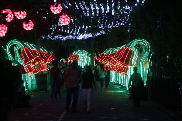 Alumbrado Navideño 2016
Alumbrado Navideño 2016
Fecha: Diciembre 7 de 2016
Para descargar esta fotografía en alta resolución, haga clic sobre la imagen hasta que la misma se despliegue en la pantalla completa; luego dé clic derecho y elija la opción "guardar imagen como". 
En caso de publicación por cualquier medio, solicitamos acompañarla del crédito: "Foto EPM"
Palabras clave: Alumbrado Navideño 2016