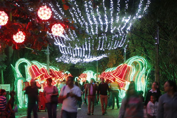 Alumbrado Navideño 2016
Alumbrado Navideño 2016
Fecha: Diciembre 7 de 2016
Para descargar esta fotografía en alta resolución, haga clic sobre la imagen hasta que la misma se despliegue en la pantalla completa; luego dé clic derecho y elija la opción "guardar imagen como". 
En caso de publicación por cualquier medio, solicitamos acompañarla del crédito: "Foto EPM"
Palabras clave: Alumbrado Navideño 2016