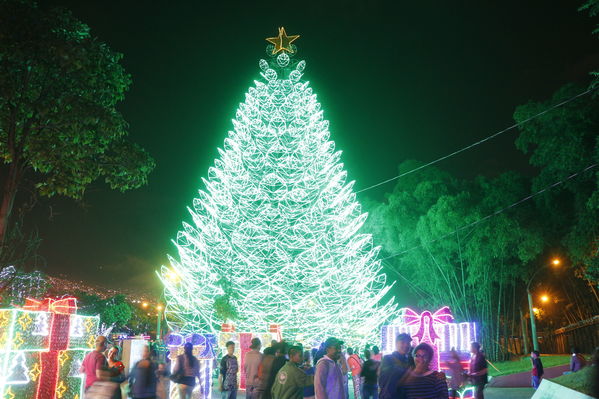 Alumbrado Navideño 2016
Alumbrado Navideño 2016
Fecha: Diciembre 7 de 2016
Para descargar esta fotografía en alta resolución, haga clic sobre la imagen hasta que la misma se despliegue en la pantalla completa; luego dé clic derecho y elija la opción "guardar imagen como". 
En caso de publicación por cualquier medio, solicitamos acompañarla del crédito: "Foto EPM"
Palabras clave: Alumbrado Navideño 2016