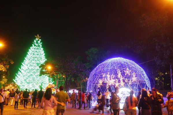 Alumbrado Navideño 2016
Alumbrado Navideño 2016
Fecha: Diciembre 7 de 2016
Para descargar esta fotografía en alta resolución, haga clic sobre la imagen hasta que la misma se despliegue en la pantalla completa; luego dé clic derecho y elija la opción "guardar imagen como". 
En caso de publicación por cualquier medio, solicitamos acompañarla del crédito: "Foto EPM"
Palabras clave: Alumbrado Navideño 2016