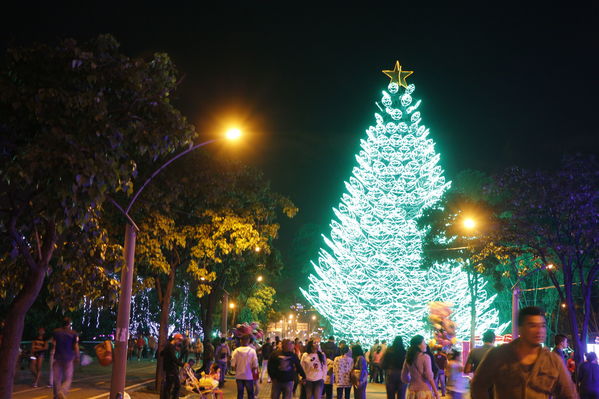 Alumbrado Navideño 2016
Alumbrado Navideño 2016
Fecha: Diciembre 7 de 2016
Para descargar esta fotografía en alta resolución, haga clic sobre la imagen hasta que la misma se despliegue en la pantalla completa; luego dé clic derecho y elija la opción "guardar imagen como". 
En caso de publicación por cualquier medio, solicitamos acompañarla del crédito: "Foto EPM"
Palabras clave: Alumbrado Navideño 2016