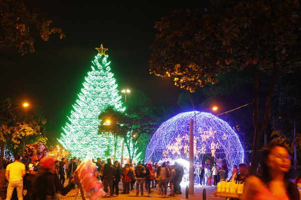 Alumbrado Navideño 2016
Alumbrado Navideño 2016
Fecha: Diciembre 7 de 2016
Para descargar esta fotografía en alta resolución, haga clic sobre la imagen hasta que la misma se despliegue en la pantalla completa; luego dé clic derecho y elija la opción "guardar imagen como". 
En caso de publicación por cualquier medio, solicitamos acompañarla del crédito: "Foto EPM"
Palabras clave: Alumbrado Navideño 2016