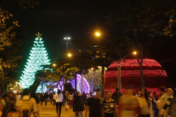 Alumbrado Navideño 2016
Alumbrado Navideño 2016
Fecha: Diciembre 7 de 2016
Para descargar esta fotografía en alta resolución, haga clic sobre la imagen hasta que la misma se despliegue en la pantalla completa; luego dé clic derecho y elija la opción "guardar imagen como". 
En caso de publicación por cualquier medio, solicitamos acompañarla del crédito: "Foto EPM"
Palabras clave: Alumbrado Navideño 2016