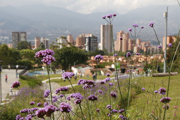 Inauguración de la UVA Ilusión Verde
Inauguración de la UVA Ilusión Verde
Fecha: Enero 17 de 2017
Para descargar esta fotografía en alta resolución, haga clic sobre la imagen hasta que la misma se despliegue en la pantalla completa; luego dé clic derecho y elija la opción "guardar imagen como". 
En caso de publicación por cualquier medio, solicitamos acompañarla del crédito: "Foto EPM"
Palabras clave: Inauguración UVA Ilusión Verde