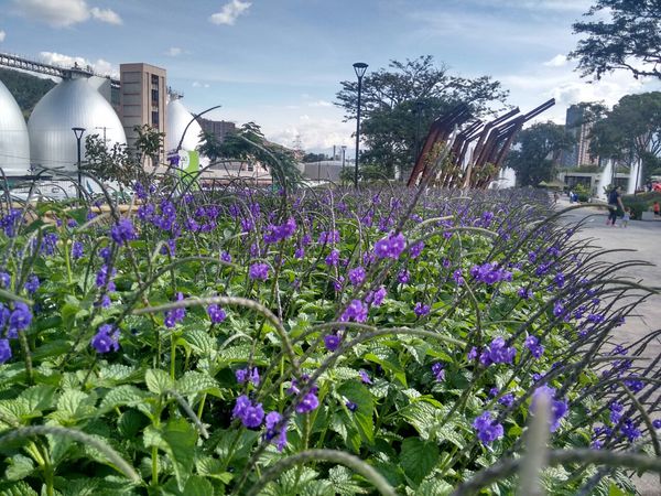 Cuidado del río Aburrá-Medellín
Cuidado del río Aburrá-Medellín
Febrero 26 2019
Para descargar esta fotografía en alta resolución, haga clic sobre la imagen hasta que la misma se despliegue en la pantalla completa; luego dé clic derecho y elija la opción "guardar imagen como". 
En caso de publicación por cualquier medio, solicitamos acompañarla del crédito: "Foto EPM"
Palabras clave: Cuidado del río Aburrá-Medellín