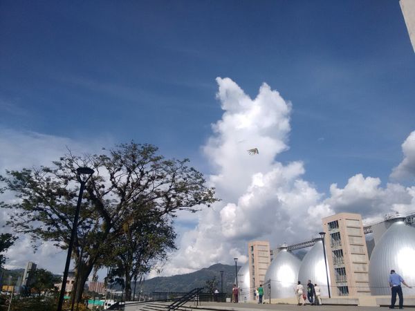 Cuidado del río Aburrá-Medellín
Cuidado del río Aburrá-Medellín
Febrero 26 2019
Para descargar esta fotografía en alta resolución, haga clic sobre la imagen hasta que la misma se despliegue en la pantalla completa; luego dé clic derecho y elija la opción "guardar imagen como". 
En caso de publicación por cualquier medio, solicitamos acompañarla del crédito: "Foto EPM"
Palabras clave: Cuidado del río Aburrá-Medellín