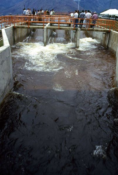 Cuidado del río Aburrá-Medellín
Cuidado del río Aburrá-Medellín
Febrero 26 2019
Para descargar esta fotografía en alta resolución, haga clic sobre la imagen hasta que la misma se despliegue en la pantalla completa; luego dé clic derecho y elija la opción "guardar imagen como". 
En caso de publicación por cualquier medio, solicitamos acompañarla del crédito: "Foto EPM"
Palabras clave: Cuidado del río Aburrá-Medellín