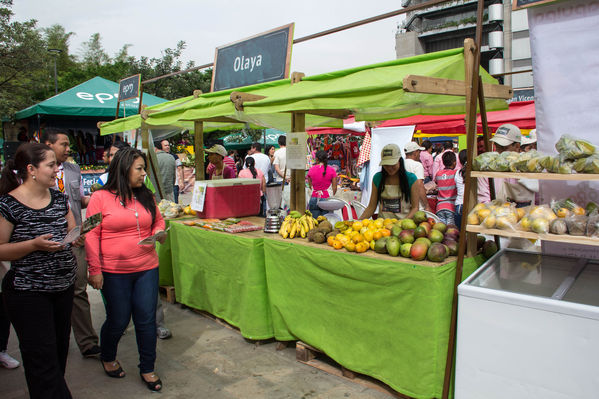 Feria Campesina
Feria Campesina
Fecha: Julio 18 de 2014. Lugar: Pies Descalzos - Medellín
Para descargar esta fotografía en alta resolución, haga clic sobre la imagen hasta que la misma se despliegue en la pantalla completa; luego dé clic derecho y elija la opción "guardar imagen como". 
En caso de publicación por cualquier medio, solicitamos acompañarla del crédito: "Foto EPM"
Palabras clave: Feria Campesina