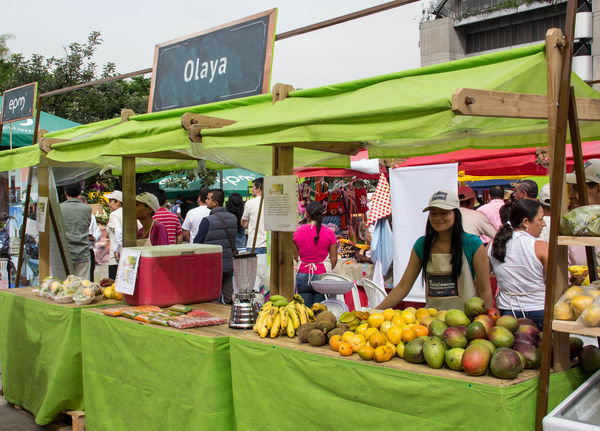 Feria Campesina
Feria Campesina
Fecha: Julio 18 de 2014. Lugar: Pies Descalzos - Medellín
Para descargar esta fotografía en alta resolución, haga clic sobre la imagen hasta que la misma se despliegue en la pantalla completa; luego dé clic derecho y elija la opción "guardar imagen como". 
En caso de publicación por cualquier medio, solicitamos acompañarla del crédito: "Foto EPM"
Palabras clave: Feria Campesina