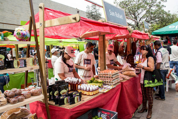 Feria Campesina
Feria Campesina
Fecha: Julio 18 de 2014. Lugar: Pies Descalzos - Medellín
Para descargar esta fotografía en alta resolución, haga clic sobre la imagen hasta que la misma se despliegue en la pantalla completa; luego dé clic derecho y elija la opción "guardar imagen como". 
En caso de publicación por cualquier medio, solicitamos acompañarla del crédito: "Foto EPM"
Palabras clave: Feria Campesina