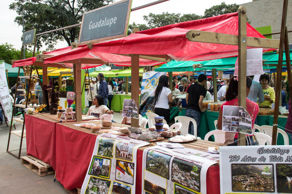 Feria Campesina
Feria Campesina
Fecha: Julio 18 de 2014. Lugar: Pies Descalzos - Medellín
Para descargar esta fotografía en alta resolución, haga clic sobre la imagen hasta que la misma se despliegue en la pantalla completa; luego dé clic derecho y elija la opción "guardar imagen como". 
En caso de publicación por cualquier medio, solicitamos acompañarla del crédito: "Foto EPM"
Palabras clave: Feria Campesina