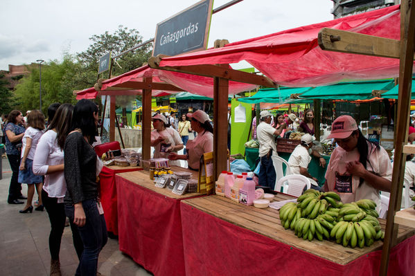 Feria Campesina
Feria Campesina
Fecha: Julio 18 de 2014. Lugar: Pies Descalzos - Medellín
Para descargar esta fotografía en alta resolución, haga clic sobre la imagen hasta que la misma se despliegue en la pantalla completa; luego dé clic derecho y elija la opción "guardar imagen como". 
En caso de publicación por cualquier medio, solicitamos acompañarla del crédito: "Foto EPM"

Palabras clave: Feria Campesina