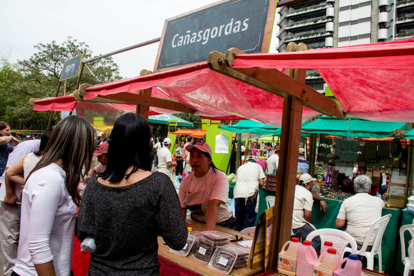 Feria Campesina
Feria Campesina
Fecha: Julio 18 de 2014. Lugar: Pies Descalzos - Medellín
Para descargar esta fotografía en alta resolución, haga clic sobre la imagen hasta que la misma se despliegue en la pantalla completa; luego dé clic derecho y elija la opción "guardar imagen como". 
En caso de publicación por cualquier medio, solicitamos acompañarla del crédito: "Foto EPM"

Palabras clave: Feria Campesina