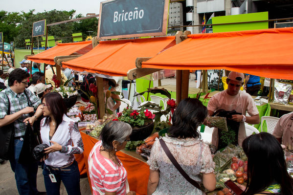 Feria Campesina
Feria Campesina
Fecha: Julio 18 de 2014. Lugar: Pies Descalzos - Medellín
Para descargar esta fotografía en alta resolución, haga clic sobre la imagen hasta que la misma se despliegue en la pantalla completa; luego dé clic derecho y elija la opción "guardar imagen como". 
En caso de publicación por cualquier medio, solicitamos acompañarla del crédito: "Foto EPM"

Palabras clave: Feria Campesina