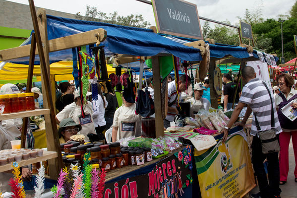 Feria Campesina
Feria Campesina
Fecha: Julio 18 de 2014. Lugar: Pies Descalzos - Medellín
Para descargar esta fotografía en alta resolución, haga clic sobre la imagen hasta que la misma se despliegue en la pantalla completa; luego dé clic derecho y elija la opción "guardar imagen como". 
En caso de publicación por cualquier medio, solicitamos acompañarla del crédito: "Foto EPM"

Palabras clave: Feria Campesina