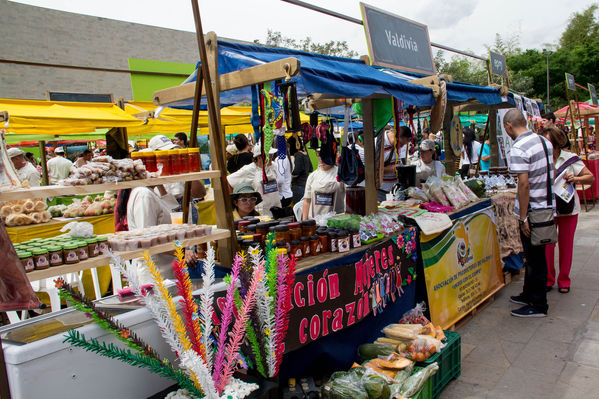 Feria Campesina
Feria Campesina
Fecha: Julio 18 de 2014. Lugar: Pies Descalzos - Medellín
Para descargar esta fotografía en alta resolución, haga clic sobre la imagen hasta que la misma se despliegue en la pantalla completa; luego dé clic derecho y elija la opción "guardar imagen como". 
En caso de publicación por cualquier medio, solicitamos acompañarla del crédito: "Foto EPM"

Palabras clave: Feria Campesina