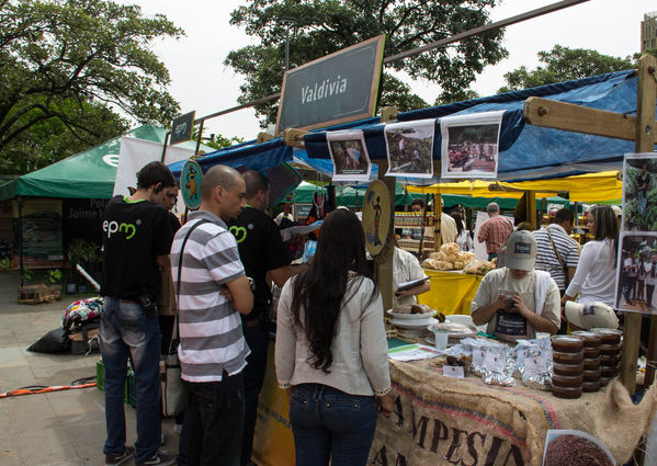 Feria Campesina
Feria Campesina
Fecha: Julio 18 de 2014. Lugar: Pies Descalzos - Medellín
Para descargar esta fotografía en alta resolución, haga clic sobre la imagen hasta que la misma se despliegue en la pantalla completa; luego dé clic derecho y elija la opción "guardar imagen como". 
En caso de publicación por cualquier medio, solicitamos acompañarla del crédito: "Foto EPM"

Palabras clave: Feria Campesina