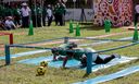 Filename=25072015-IMG_2696.jpg
Filesize=2182KiB
Dimensions=4749x2867
Date added=Jul 27, 2015 25072015-IMG_2696.jpg