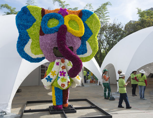 Gigantes de Flores 2015
Gigantes de Flores 2015
Fecha: Julio 31 de 2015. 
Para descargar esta fotografía en alta resolución, haga clic sobre la imagen hasta que la misma se despliegue en la pantalla completa; luego dé clic derecho y elija la opción "guardar imagen como". 
En caso de publicación por cualquier medio, solicitamos acompañarla del crédito: "Foto EPM"
Palabras clave: Gigantes Flores 2015