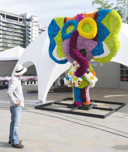 Gigantes de Flores 2015
Gigantes de Flores 2015
Fecha: Julio 31 de 2015. 
Para descargar esta fotografía en alta resolución, haga clic sobre la imagen hasta que la misma se despliegue en la pantalla completa; luego dé clic derecho y elija la opción "guardar imagen como". 
En caso de publicación por cualquier medio, solicitamos acompañarla del crédito: "Foto EPM"
Palabras clave: Gigantes Flores 2015