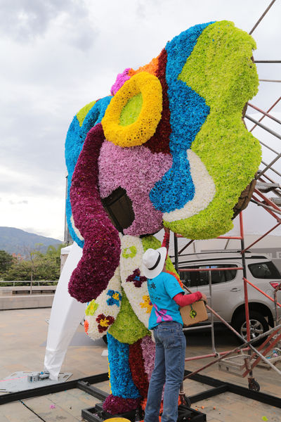 Gigantes de Flores 2015
Gigantes de Flores 2015
Fecha: Julio 30 de 2015. 
Para descargar esta fotografía en alta resolución, haga clic sobre la imagen hasta que la misma se despliegue en la pantalla completa; luego dé clic derecho y elija la opción "guardar imagen como". 
En caso de publicación por cualquier medio, solicitamos acompañarla del crédito: "Foto EPM"

Palabras clave: Gigantes Flores 2015