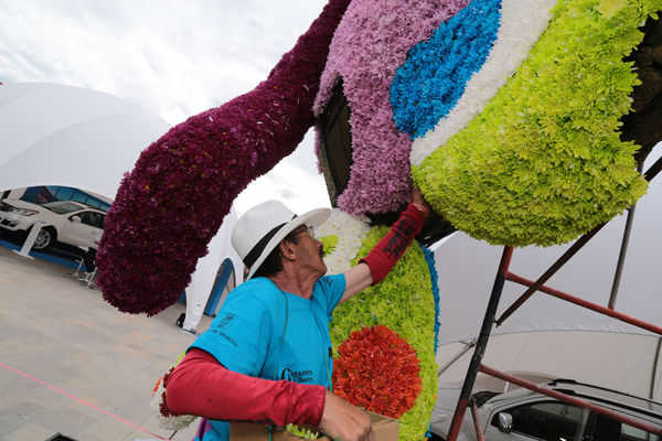 Gigantes de Flores 2015
Gigantes de Flores 2015
Fecha: Julio 30 de 2015. 
Para descargar esta fotografía en alta resolución, haga clic sobre la imagen hasta que la misma se despliegue en la pantalla completa; luego dé clic derecho y elija la opción "guardar imagen como". 
En caso de publicación por cualquier medio, solicitamos acompañarla del crédito: "Foto EPM"

Palabras clave: Gigantes Flores 2015