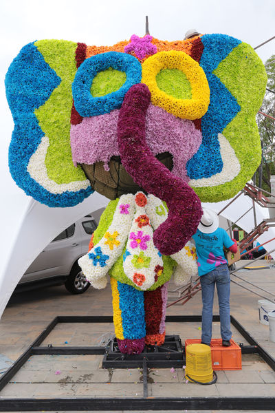 Gigantes de Flores 2015
Gigantes de Flores 2015
Fecha: Julio 30 de 2015. 
Para descargar esta fotografía en alta resolución, haga clic sobre la imagen hasta que la misma se despliegue en la pantalla completa; luego dé clic derecho y elija la opción "guardar imagen como". 
En caso de publicación por cualquier medio, solicitamos acompañarla del crédito: "Foto EPM"

Palabras clave: Gigantes Flores 2015