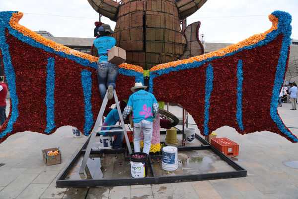 Gigantes de Flores 2015
Gigantes de Flores 2015
Fecha: Julio 30 de 2015. 
Para descargar esta fotografía en alta resolución, haga clic sobre la imagen hasta que la misma se despliegue en la pantalla completa; luego dé clic derecho y elija la opción "guardar imagen como". 
En caso de publicación por cualquier medio, solicitamos acompañarla del crédito: "Foto EPM"

Palabras clave: Gigantes Flores 2015