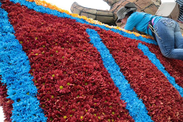 Gigantes de Flores 2015
Gigantes de Flores 2015
Fecha: Julio 30 de 2015. 
Para descargar esta fotografía en alta resolución, haga clic sobre la imagen hasta que la misma se despliegue en la pantalla completa; luego dé clic derecho y elija la opción "guardar imagen como". 
En caso de publicación por cualquier medio, solicitamos acompañarla del crédito: "Foto EPM"

Palabras clave: Gigantes Flores 2015