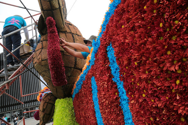 Gigantes de Flores 2015
Gigantes de Flores 2015
Fecha: Julio 30 de 2015. 
Para descargar esta fotografía en alta resolución, haga clic sobre la imagen hasta que la misma se despliegue en la pantalla completa; luego dé clic derecho y elija la opción "guardar imagen como". 
En caso de publicación por cualquier medio, solicitamos acompañarla del crédito: "Foto EPM"

Palabras clave: Gigantes Flores 2015