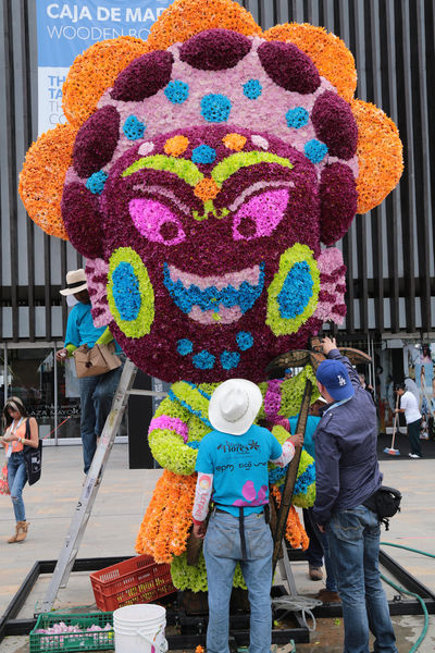 Gigantes de Flores 2015
Gigantes de Flores 2015
Fecha: Julio 30 de 2015. 
Para descargar esta fotografía en alta resolución, haga clic sobre la imagen hasta que la misma se despliegue en la pantalla completa; luego dé clic derecho y elija la opción "guardar imagen como". 
En caso de publicación por cualquier medio, solicitamos acompañarla del crédito: "Foto EPM"

Palabras clave: Gigantes Flores 2015