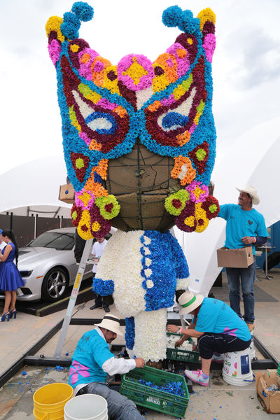 Gigantes de Flores 2015
Gigantes de Flores 2015
Fecha: Julio 30 de 2015. 
Para descargar esta fotografía en alta resolución, haga clic sobre la imagen hasta que la misma se despliegue en la pantalla completa; luego dé clic derecho y elija la opción "guardar imagen como". 
En caso de publicación por cualquier medio, solicitamos acompañarla del crédito: "Foto EPM"

Palabras clave: Gigantes Flores 2015