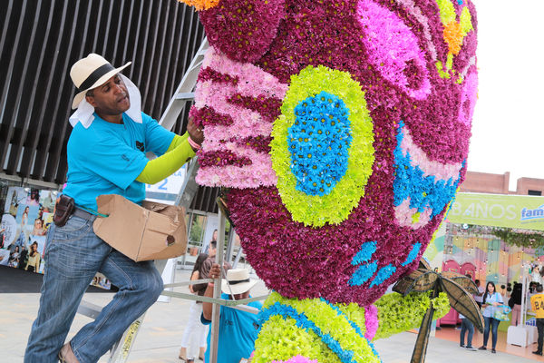 Gigantes de Flores 2015
Gigantes de Flores 2015
Fecha: Julio 30 de 2015. 
Para descargar esta fotografía en alta resolución, haga clic sobre la imagen hasta que la misma se despliegue en la pantalla completa; luego dé clic derecho y elija la opción "guardar imagen como". 
En caso de publicación por cualquier medio, solicitamos acompañarla del crédito: "Foto EPM"

Palabras clave: Gigantes Flores 2015