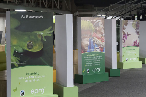 Semana Ambiental 2017
Semana Ambiental 2017
Fecha: Junio 22 de 2017
Para descargar esta fotografía en alta resolución, haga clic sobre la imagen hasta que la misma se despliegue en la pantalla completa; luego dé clic derecho y elija la opción "guardar imagen como". 
En caso de publicación por cualquier medio, solicitamos acompañarla del crédito: "Foto EPM"
Palabras clave: Semana Ambiental 2017